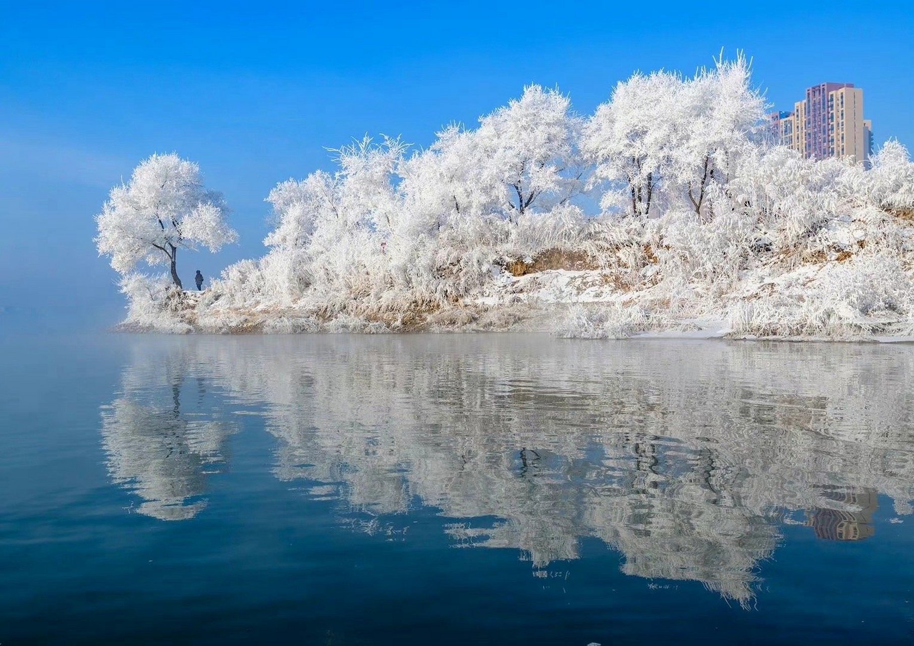 吉林智造新篇章，解码吉林高科技未来