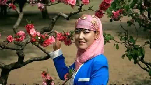 青海之旅，探寻自然美景，寻觅内心宁静